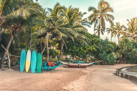De 8 beste surfplekken in Sri lanka: ontdek de mooiste surfspots op het eiland