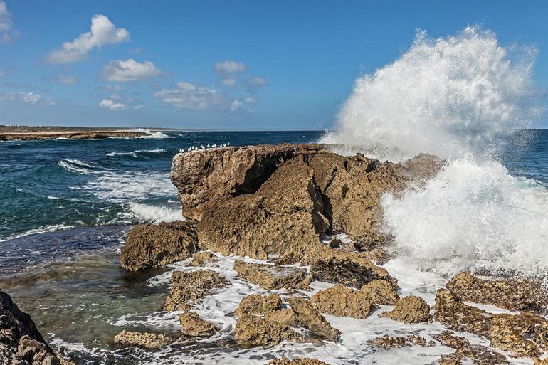 Surfstrand Playa Kanoa op Curaçao, ABC-eilanden