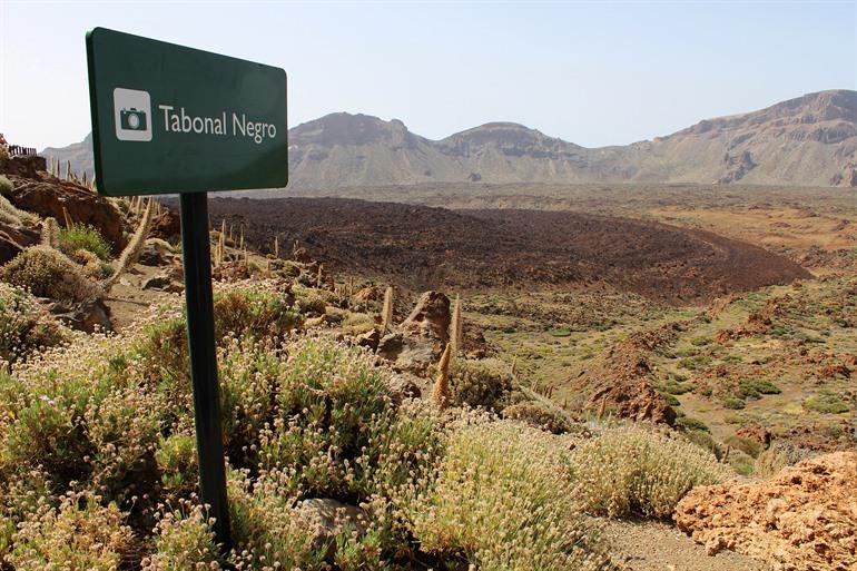 Tabonal Negro op Tenerife bezoeken