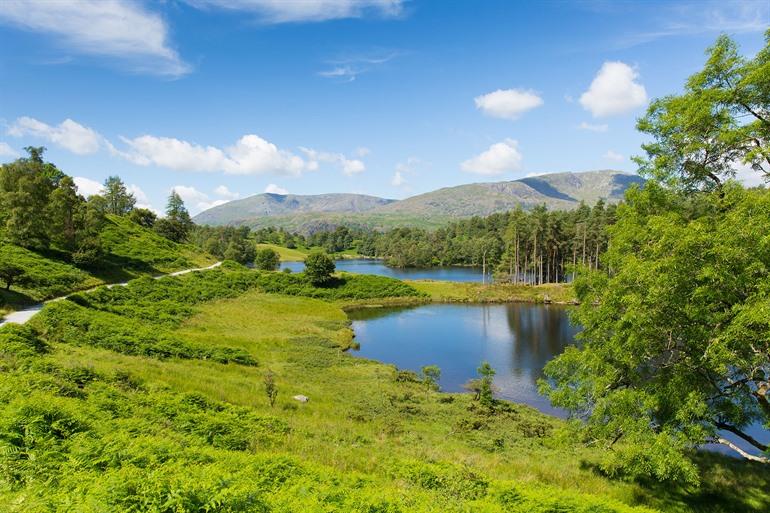 Tarn Hows, Lake District