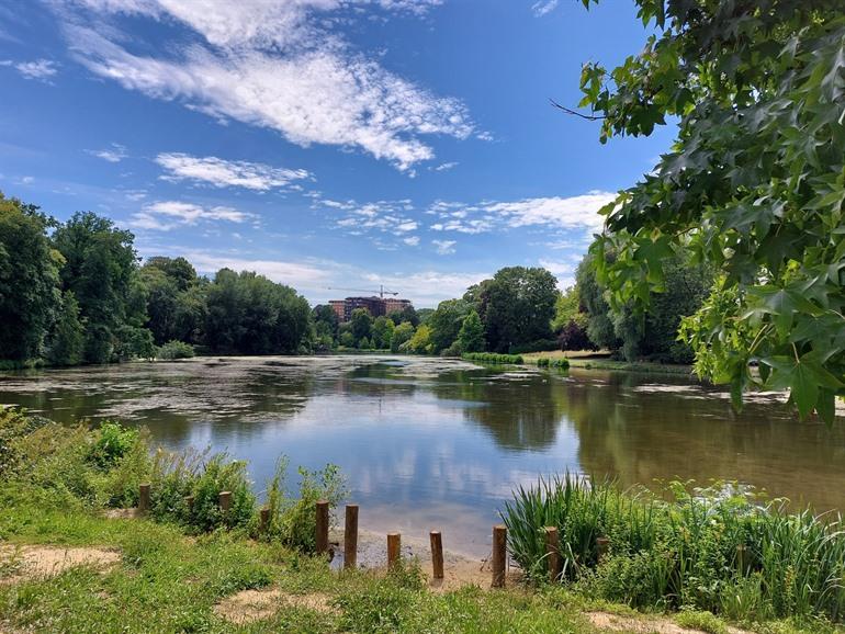 Ten Reuken park, Woluwevallei