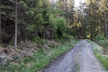 Ternell-wandeling Oostkantons