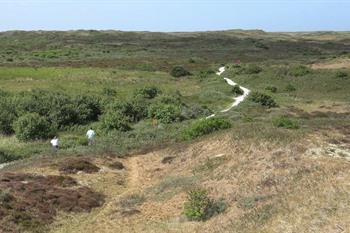 Texel duinen bij Ecomare