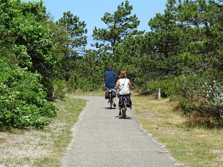 Texel fietsen in De Dennen