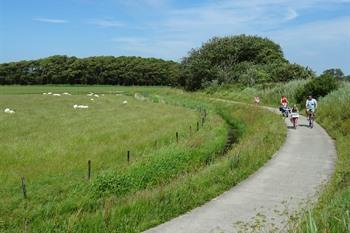 Texel fietsen