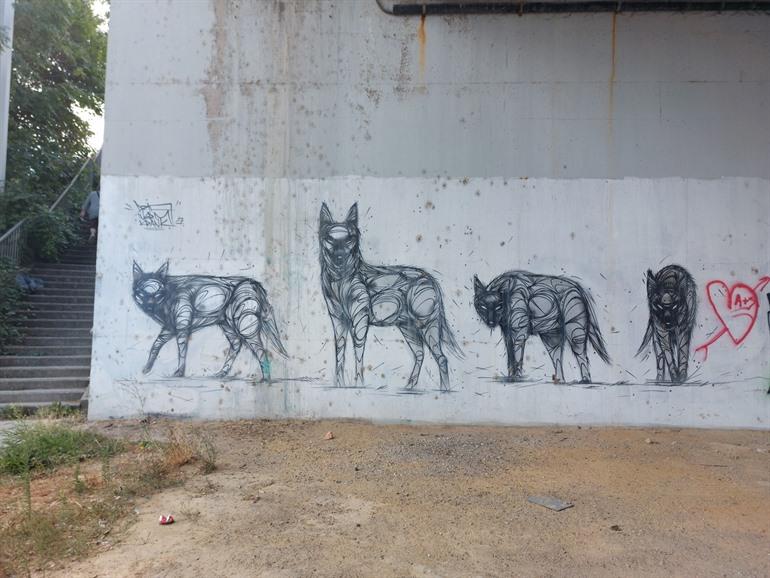 The Wolfpack’ van DZIA, Vilvoorde