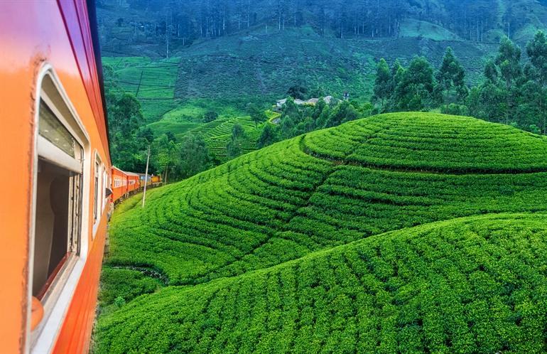 Theeplantages Hatton