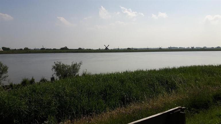 Theetuin Onder de Pannen nabij Kinderdijk