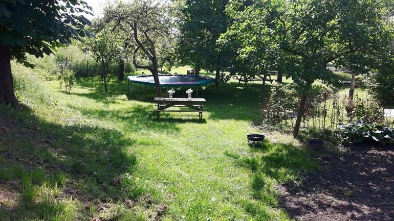 Theetuin Onder de Pannen nabij Kinderdijk