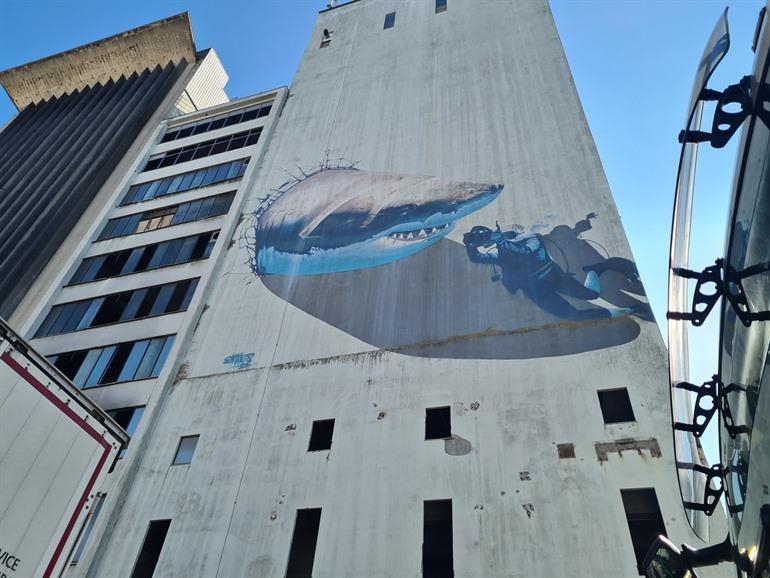 Tijgerhaai breekt door de muur in Roeselare