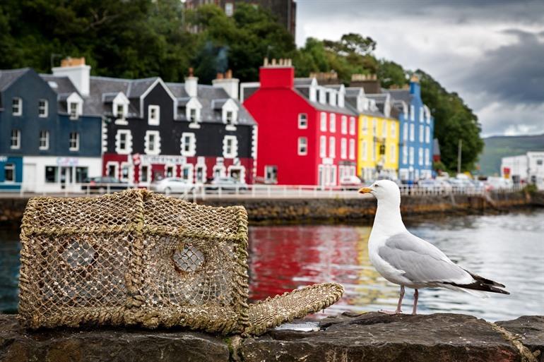 Tobermory, Isle of Mull, Schotland