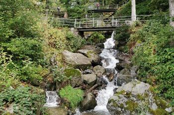 Todtnau watervallen, Zwarte Woud