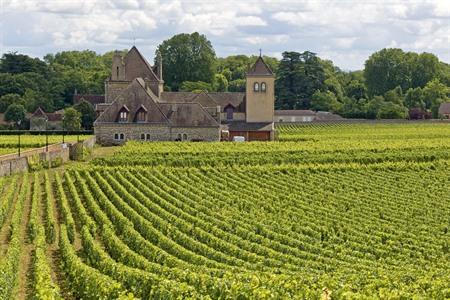 Top bezienswaardigheden in de Bourgogne