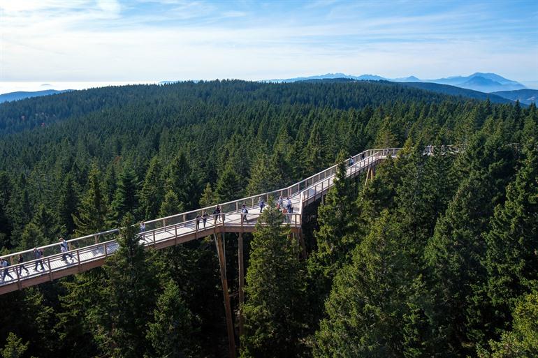 Treetopwalk Pohorje, hoog tussen de bomen, Slovenië