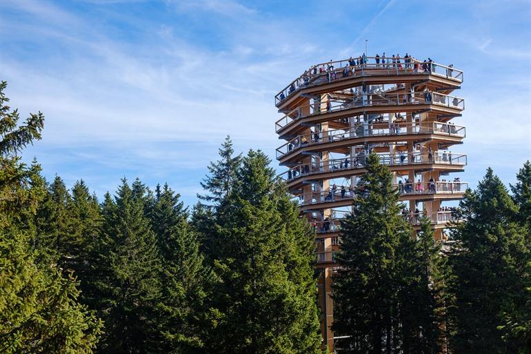 Treetopwalk Pohorje, hoog tussen de bomen, Slovenië