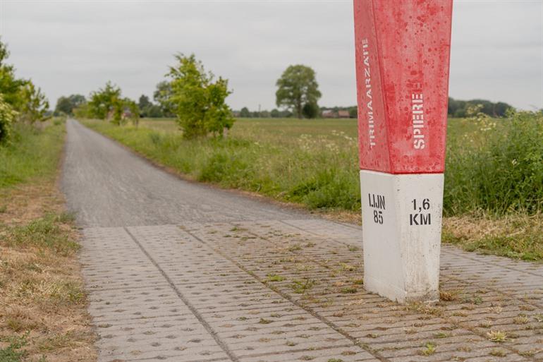 Trimaarzate in de Leiestreek