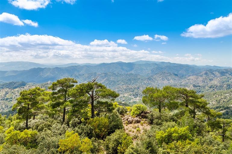 Troodos Cyprus