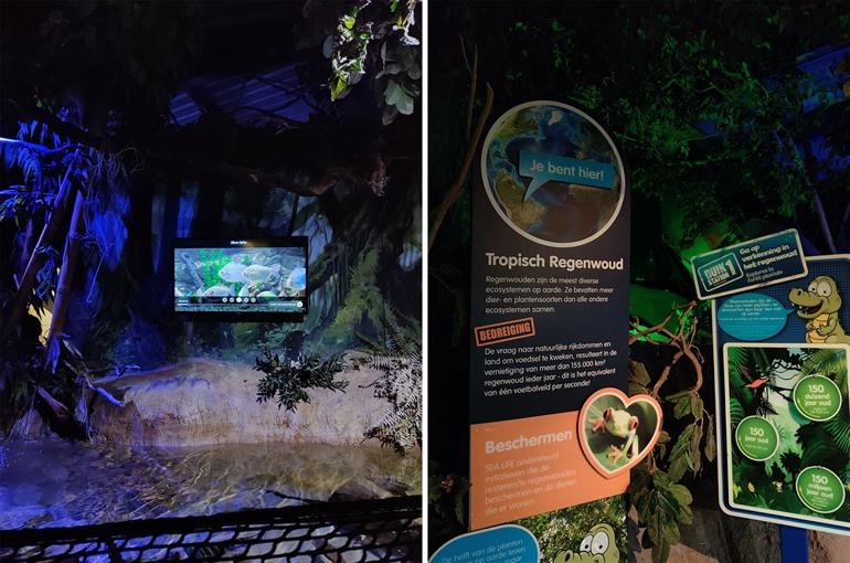 Tropisch regenwoud in SEA LIFE in Blankenberge