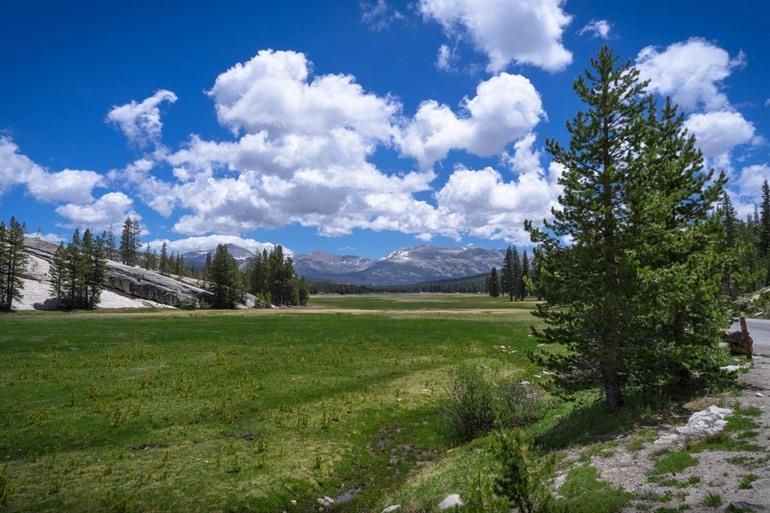 Tuolumne Meadows yosemite