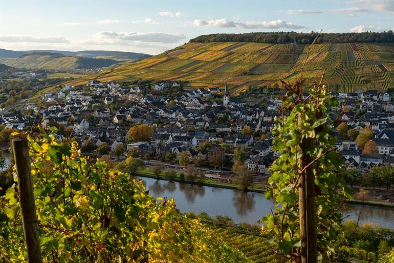 Tussen de wijngaarden in Bernkastel-Kues