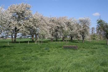 Twee broeders in Millen