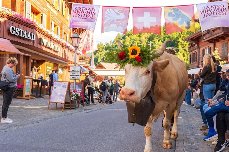 Uitgedoste koe tijdens de Gstaad Züglete