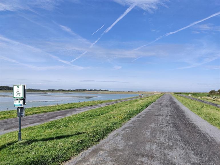 Uitkijkpunt over het Zwin natuurpark, langs de Vespa route