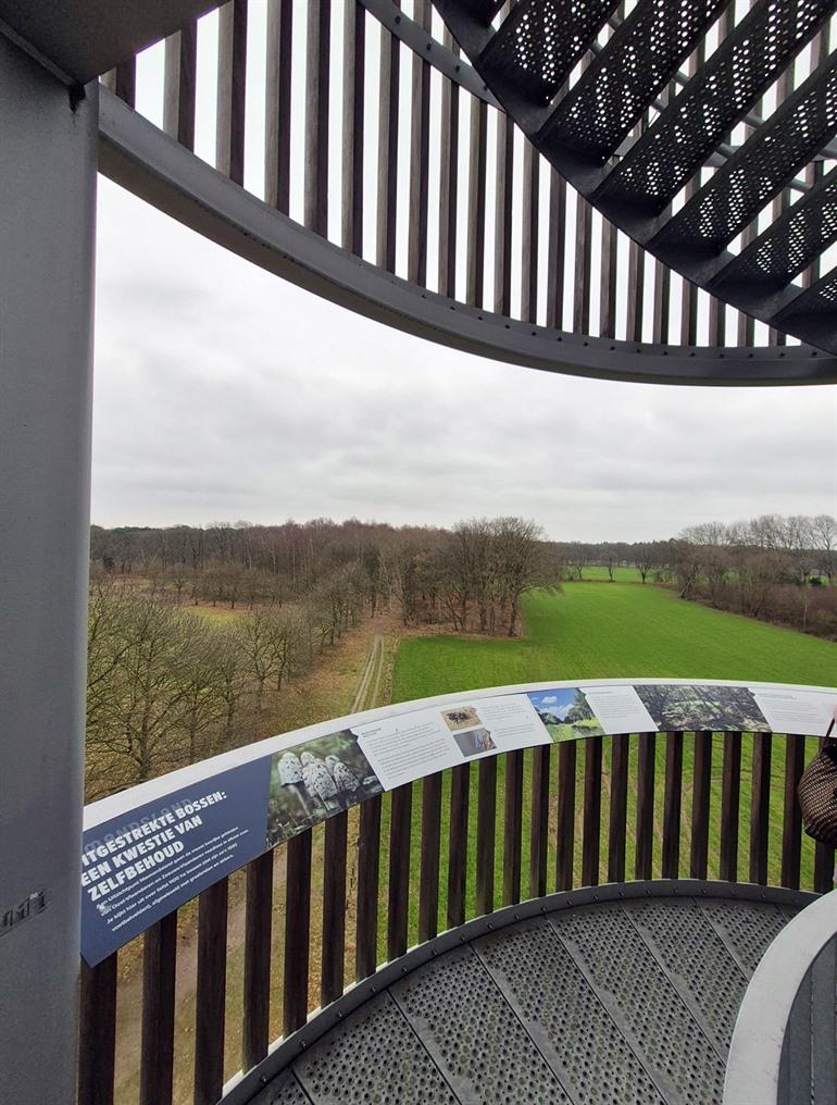 Uitkijktoren Niemandsland, Oost-Vlaanderen