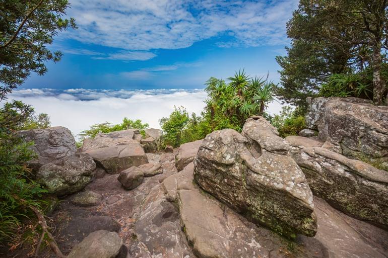 Uitzicht bij God's WIndow