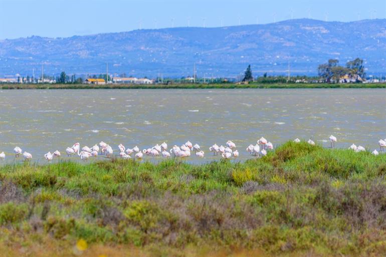 Uitzicht in de Ebro Delta Catalonië