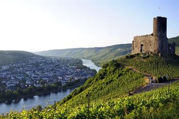 Uitzicht op Burg Landshut, de wijngaarden en Bernkastel-Kues