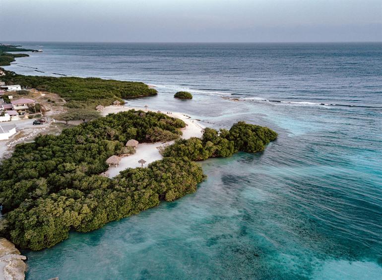 Uitzicht op de mangroven bij het Mangel Halto, Aruba