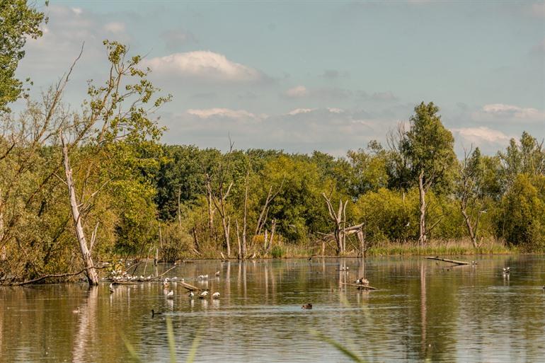 Uitzicht op de plassen