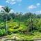 Uitzicht op de rijstterrassen van Tegalalang, Bali
