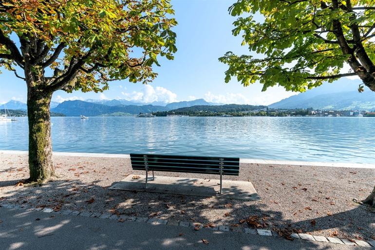 Uitzicht op de Vierwaldstättersee (meer van Luzern)