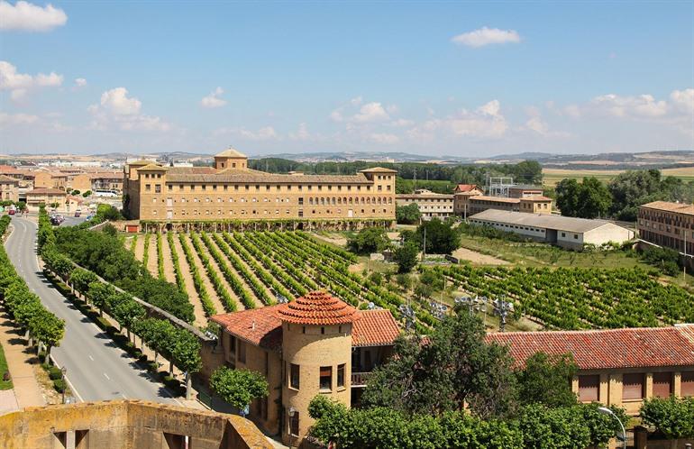 Uitzicht op de wijngaarden van Palacio de los Reyes de Navarra de Olite