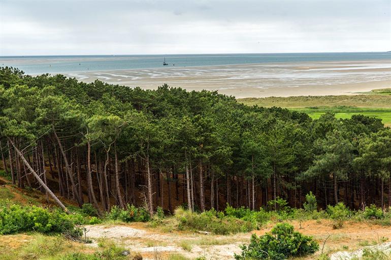 Uitzicht op het Koreabos, Terschelling