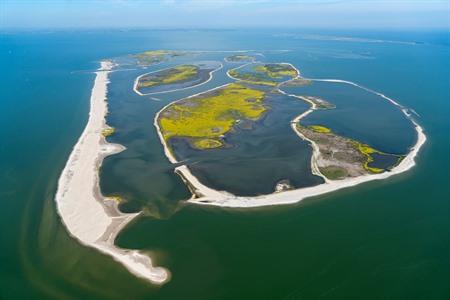 Natuurreservaat Marker Wadden bezoeken: wat zien & doen in het Markermeer