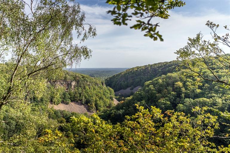 Uitzicht over het Söderåsen Nationalpark in Zweden