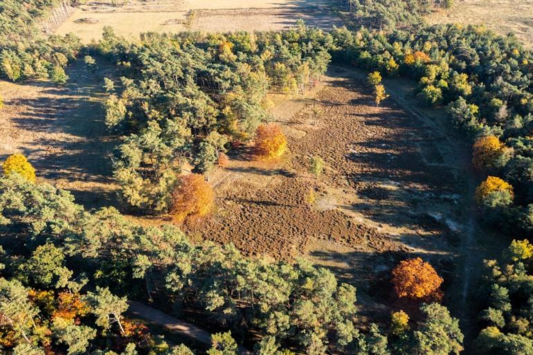 Uitzicht over het Zeisterbos, Utrechtse Heuvelrug