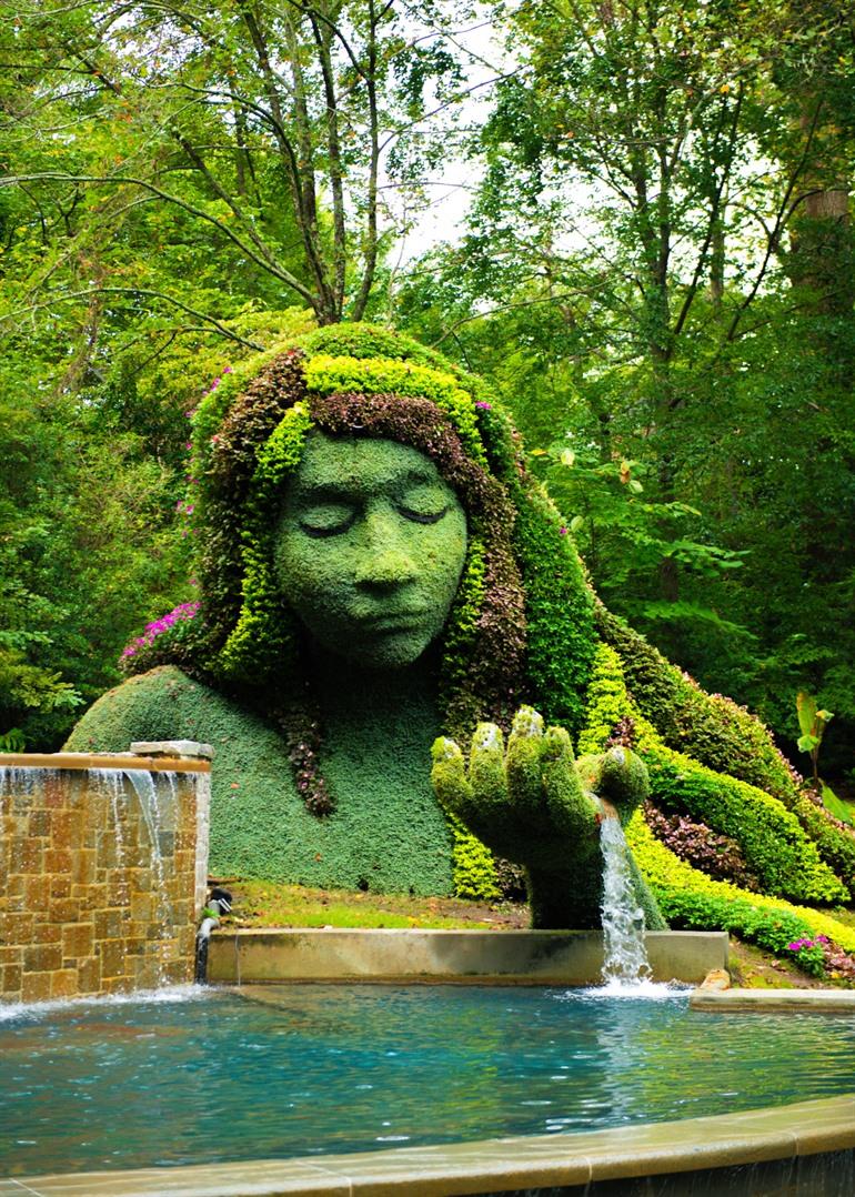 Unieke sculpturen in de botanische tuin