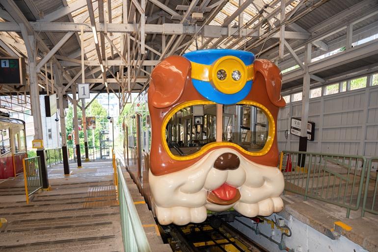 Unieke wagons bij Ikoma Cable Car