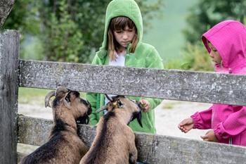 Vakantieboerderij Christernhof boeken