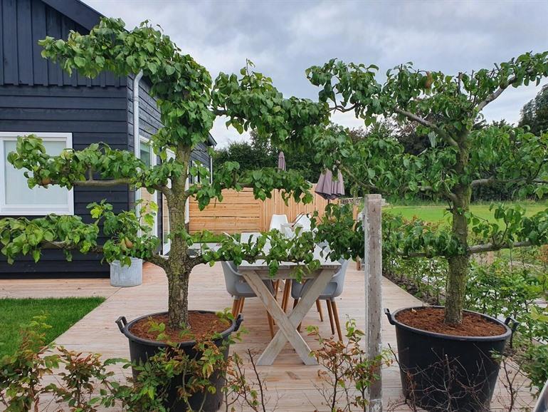 Vakantiehuis De Bonte Beleving (Oostkapelle)