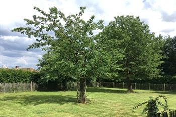 Vakantiehuis Neerhof