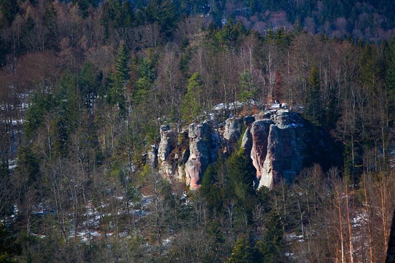 Valkenrots Bühlerhöhe, Zwarte Woud