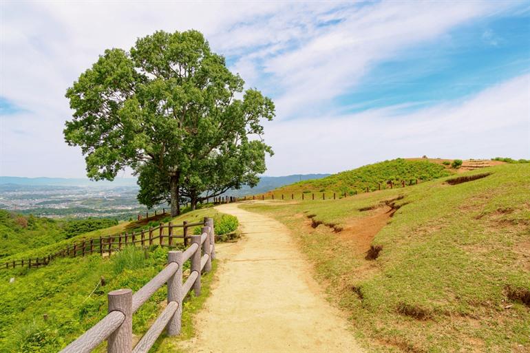 Vanaf het Nara Park naar Mount Wakakusa