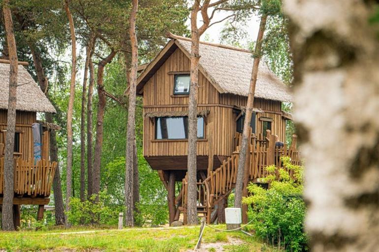 Verblijf in een echte boomhut in Safariresort Beekse Bergen
