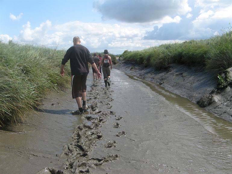 Verdronken Land van Saeftinghe bezoeken