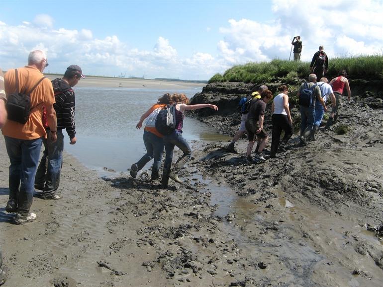 Verdronken Land van Saeftinghe bezoeken